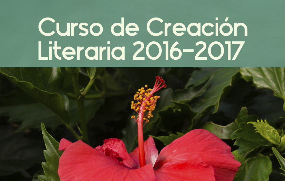 Curso de creación literaria 2016-17