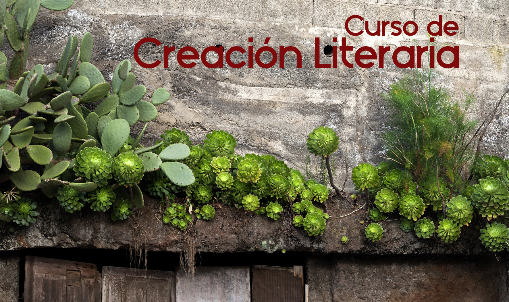 Nuevo curso de creación literaria