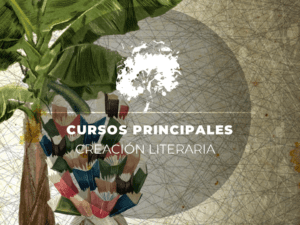 CURSO DE CREACIÓN LITERARIA 25-26