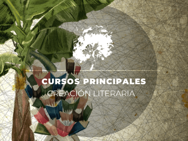 CURSO DE CREACIÓN LITERARIA 25-26