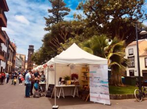 Feria del libro, Escuela literaria.