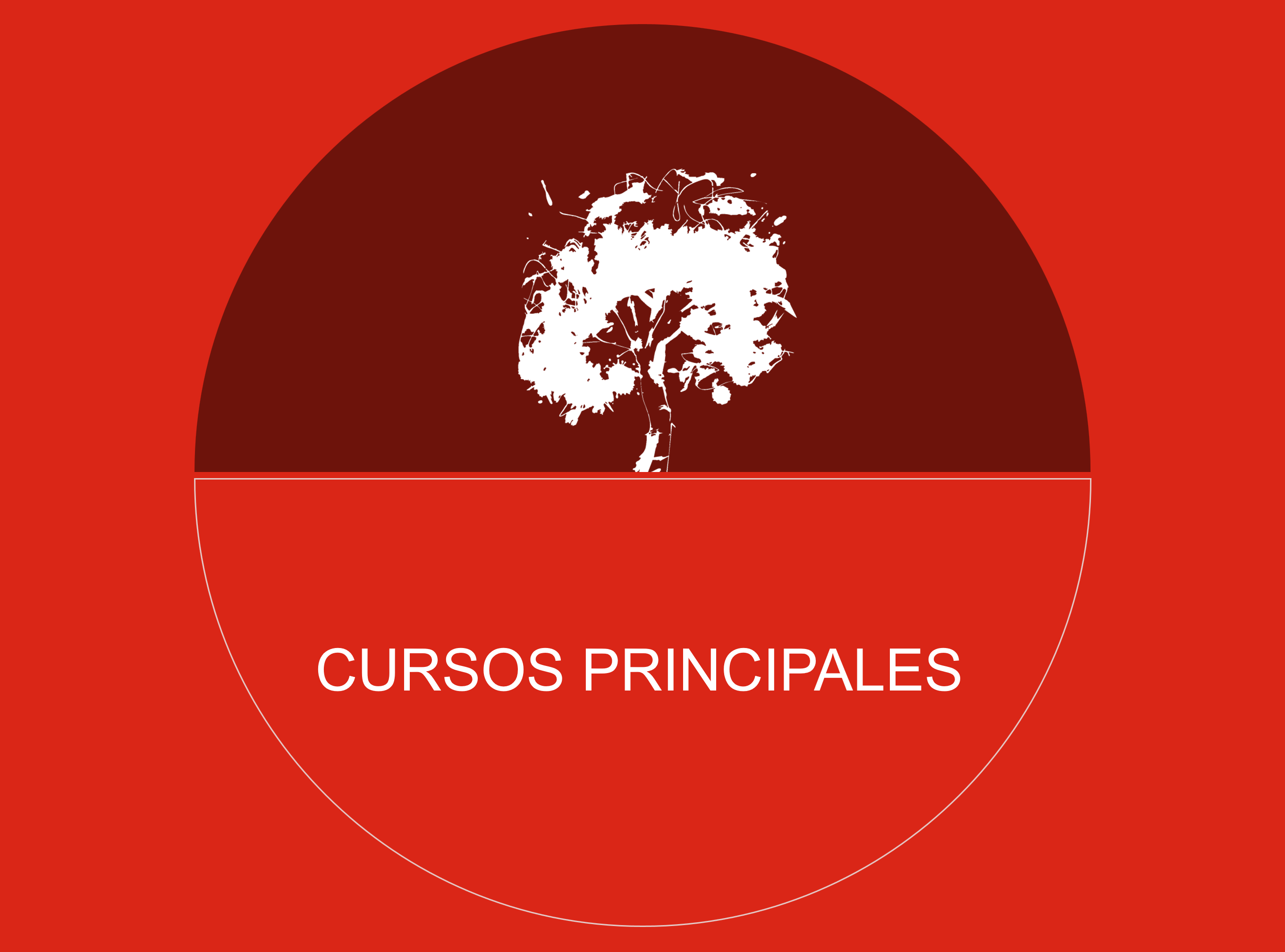 Cursos anuales. Escuela Literaria